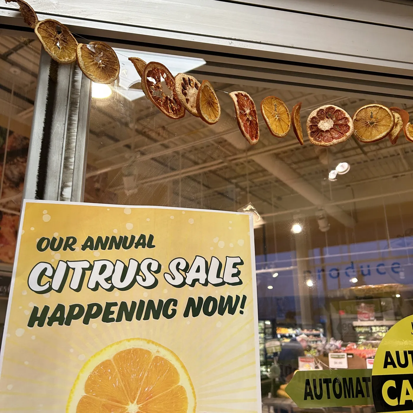 How to Make a Dried Citrus Garland | Littleton Food Co-op