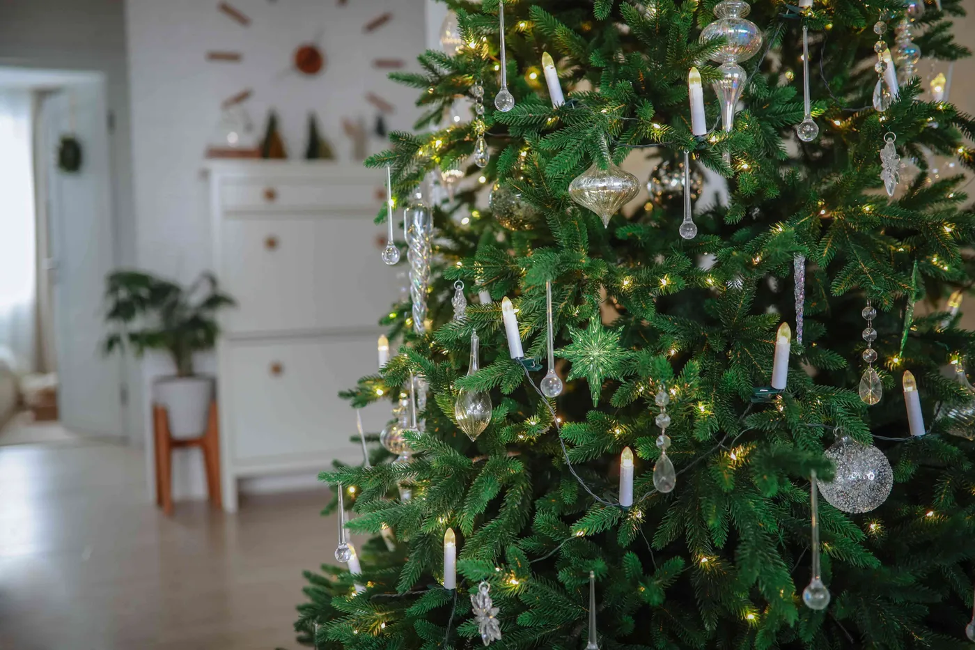 How to Water a Christmas Tree So It Lasts All December
