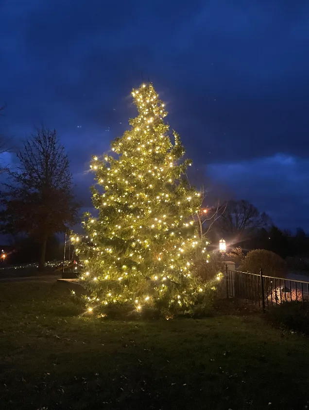 In and Out: Christmas Lighting Trends 2026 You Need to Know About