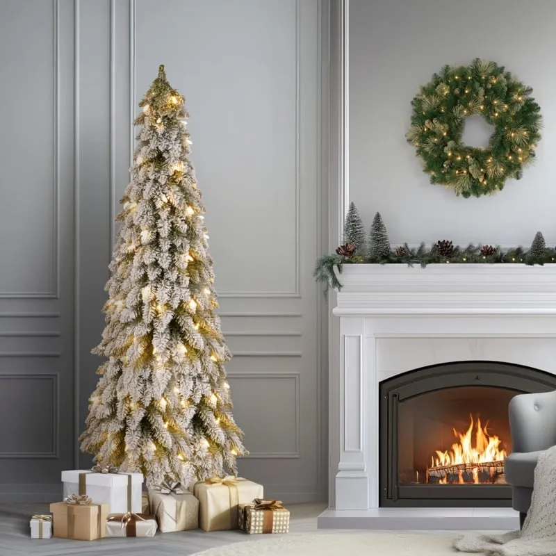 Less Than 500 Tips Christmas Trees - Designer Picks | Foter