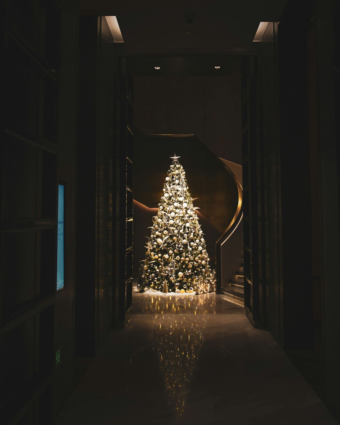 lighted christmas tree in room