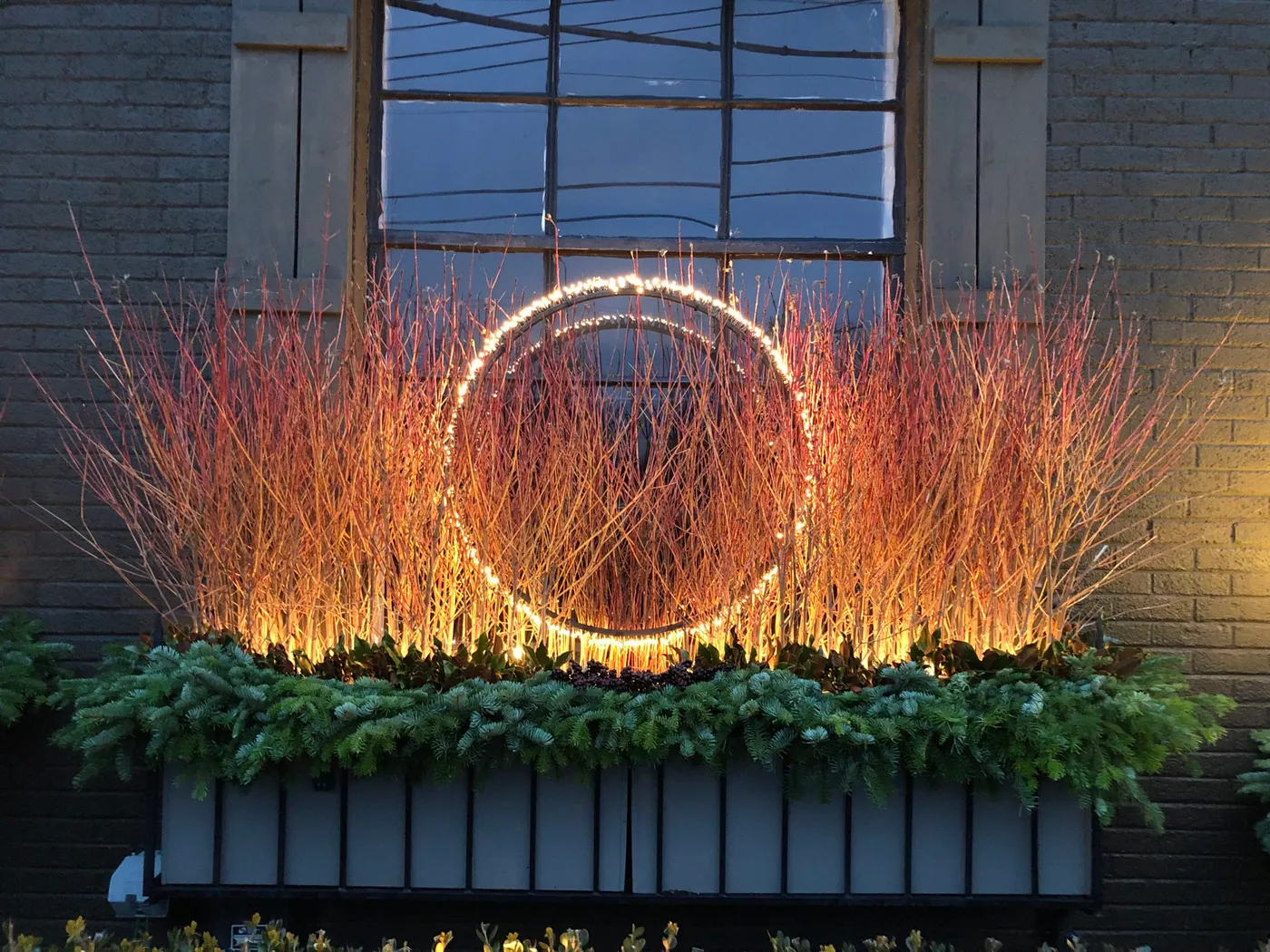 lighting winter containers | Deborah Silver & Co.
