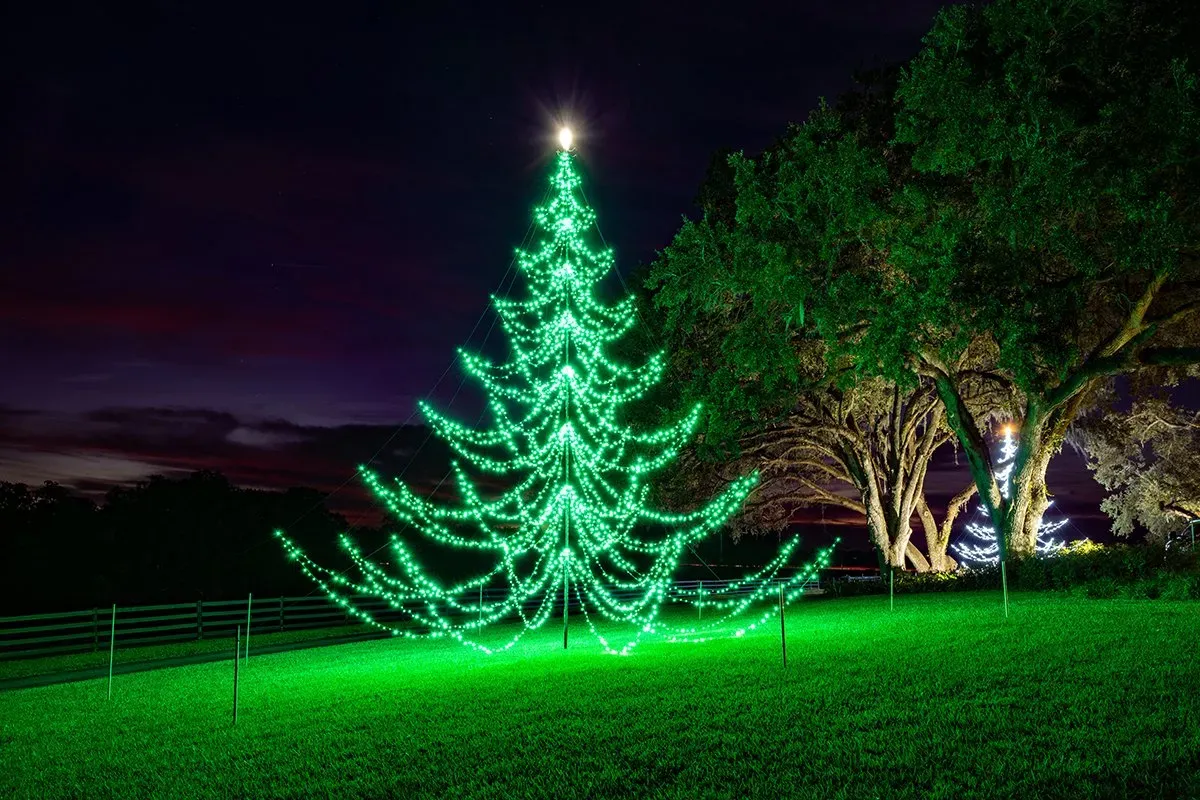 Lit Christmas Trees Gallery | Reserve Today | Florida