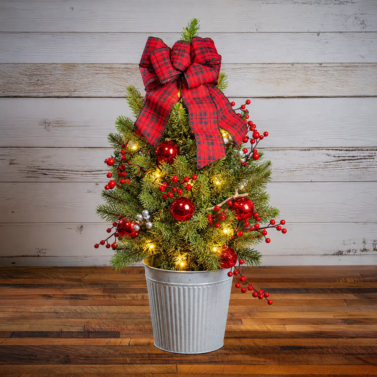 Living Christmas Trees – Lynch Creek Farm