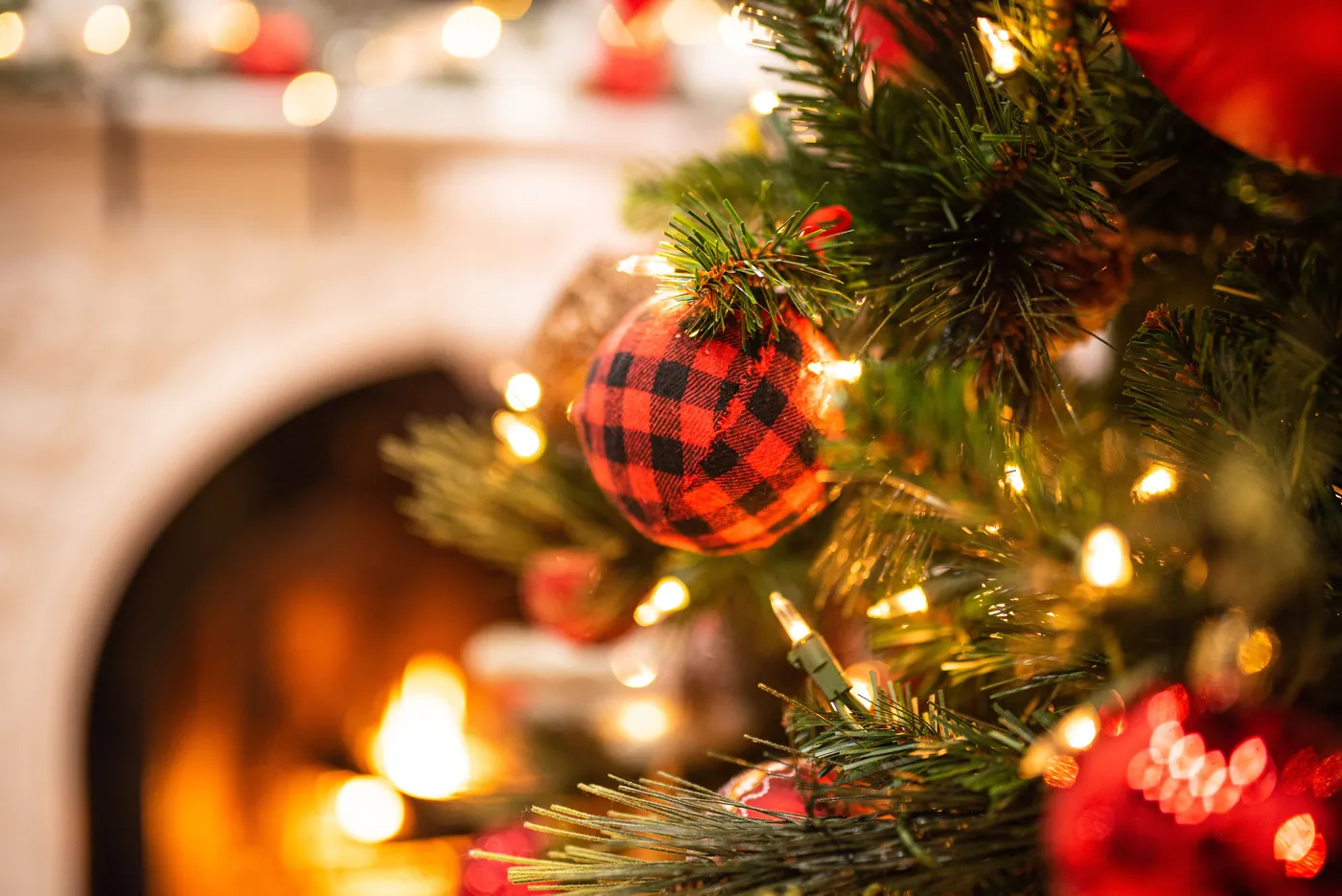Local family launches Rockwall Christmas Company to deliver holiday magic by the crate – Blue Ribbon News