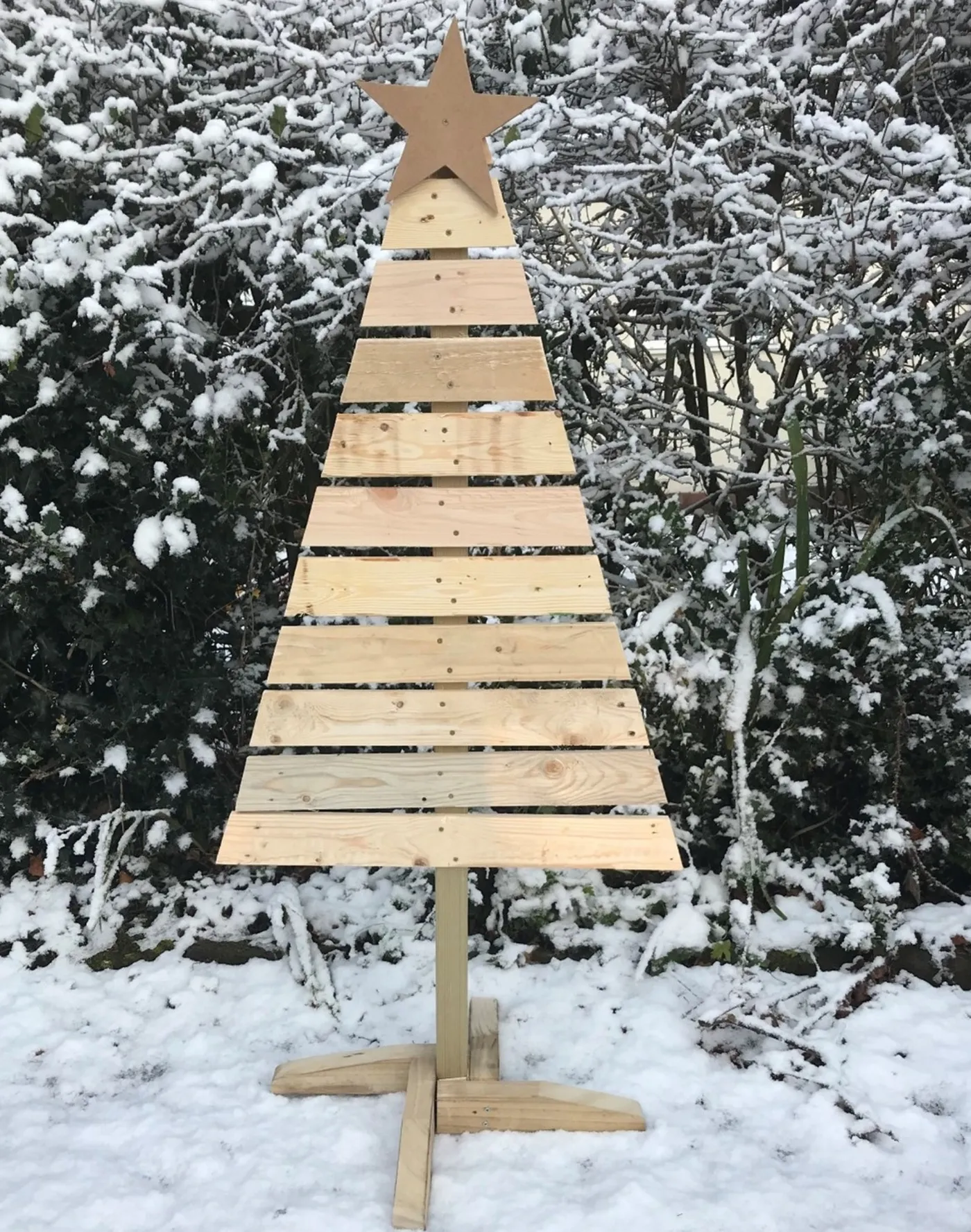 Looking for a unique and sustainable Christmas tree? | North Luffenham