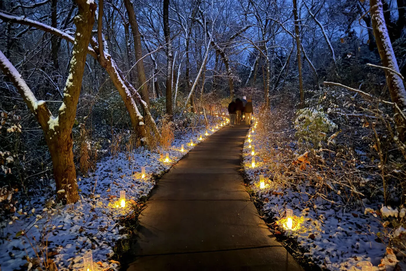 Luminary Walk at Overland Park Arboretum and Botanical Gardens: 2025 USA TODAY 10BEST Readers' Choice Awards