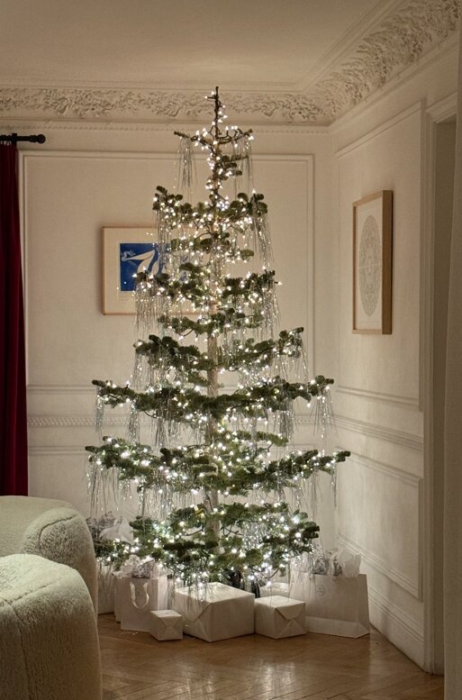 Many options are available in choosing your Christmas tree style | The  Chestnut Hill Local