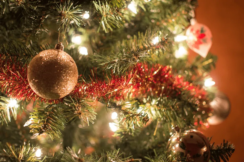 Maximize the Lifespan of Your Christmas Tree With These Tips