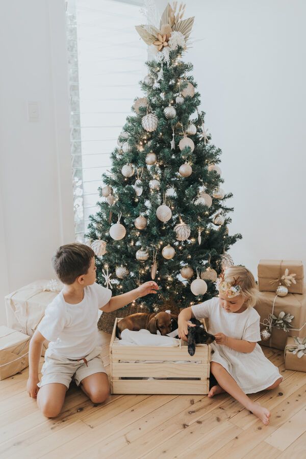 Merry and Light | Professional Christmas Styling inspired by 'Noosa'