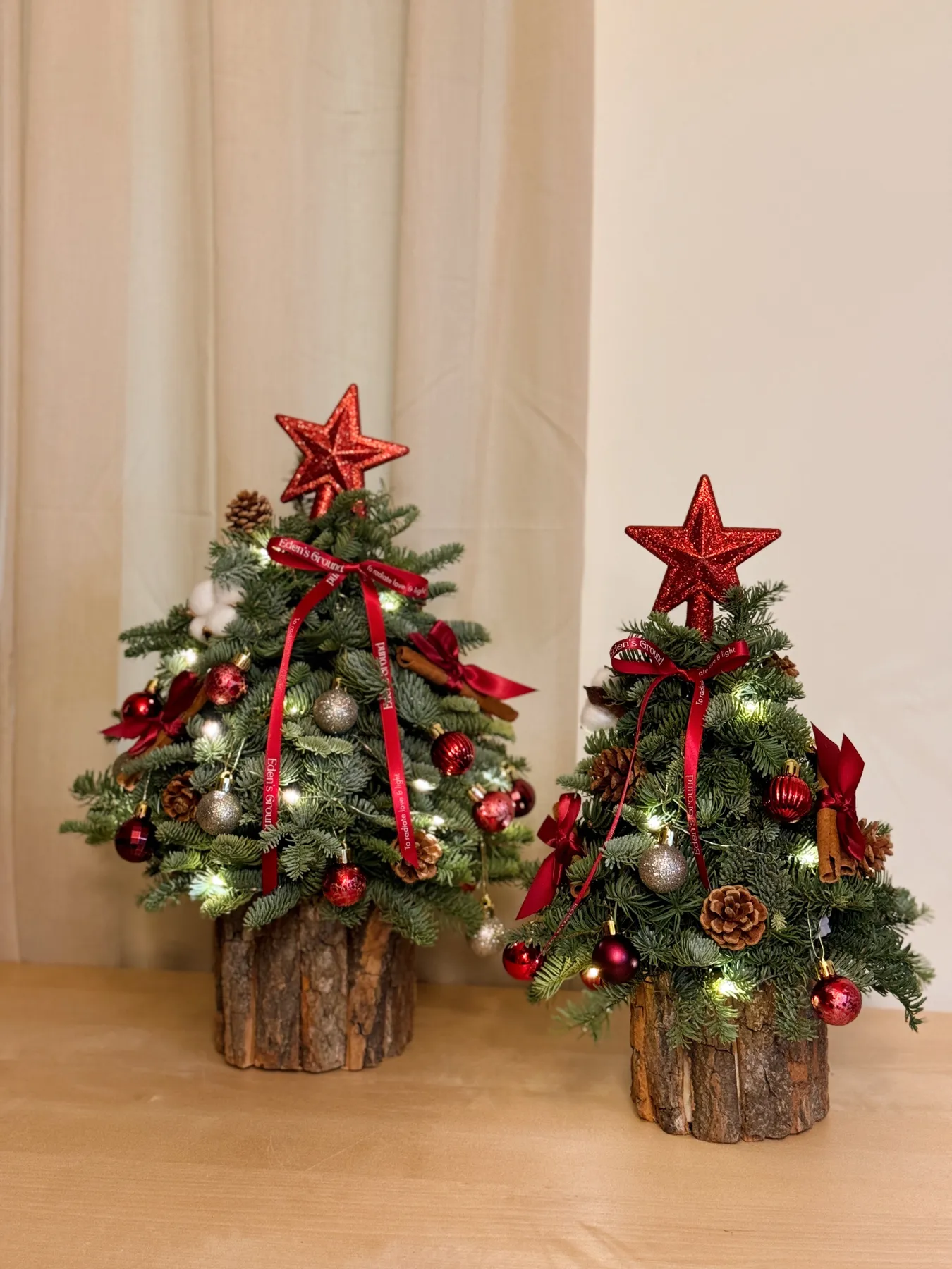 Merry Little Christmas — Fresh Mini Christmas Tree | Christmas 2026 | Eden's Ground | Singapore Floral Design Boutique