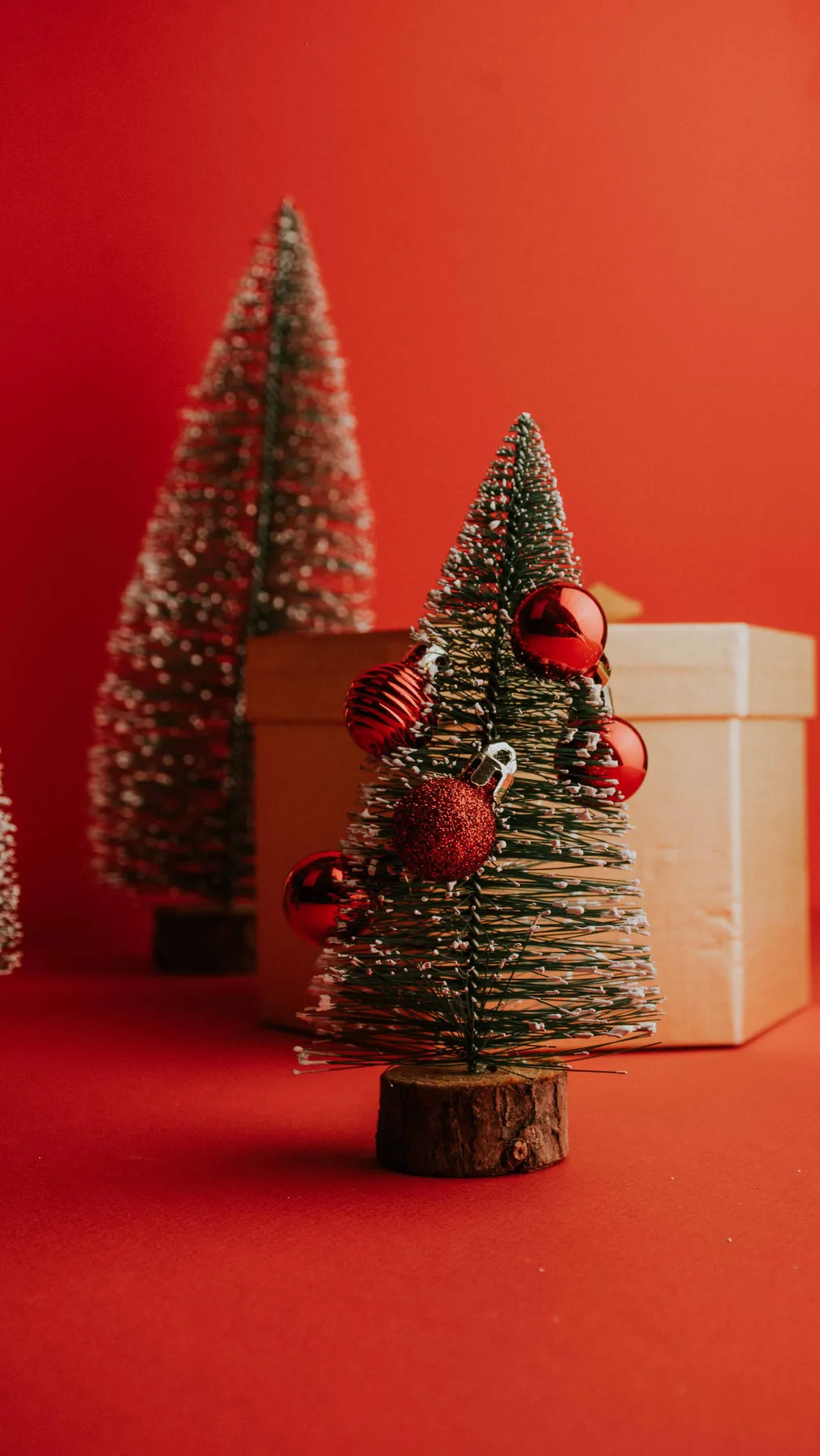 Miniature Christmas trees with red ornaments on a vibrant red background.