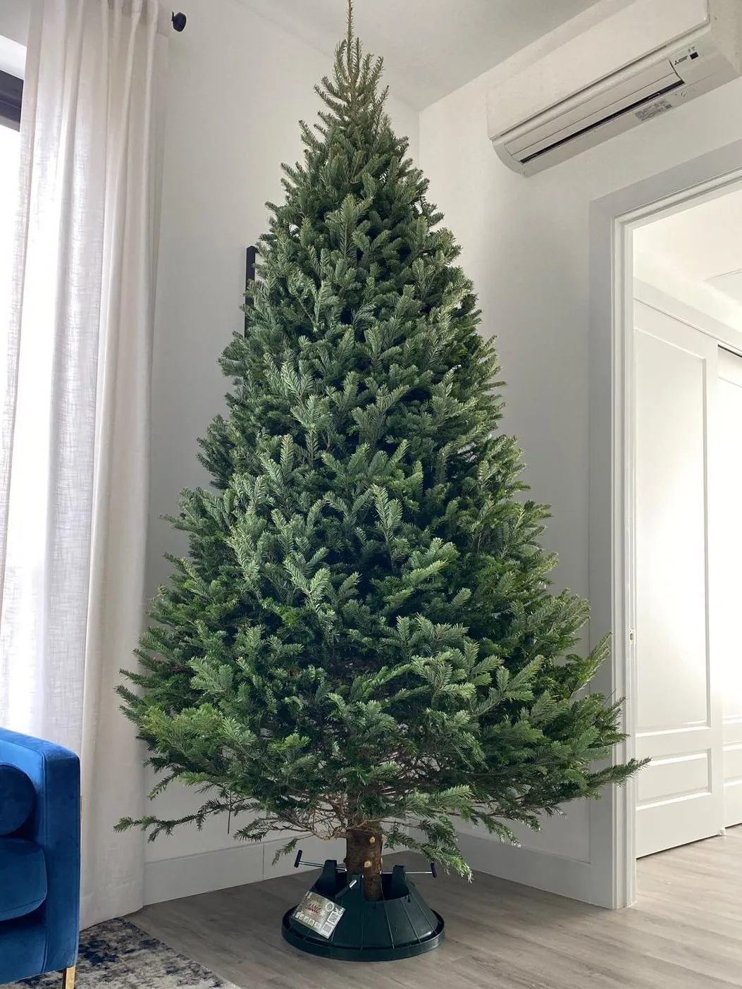 NYC Christmas Tree Recycling: 2025–2026 Guide – AA Christmas Trees