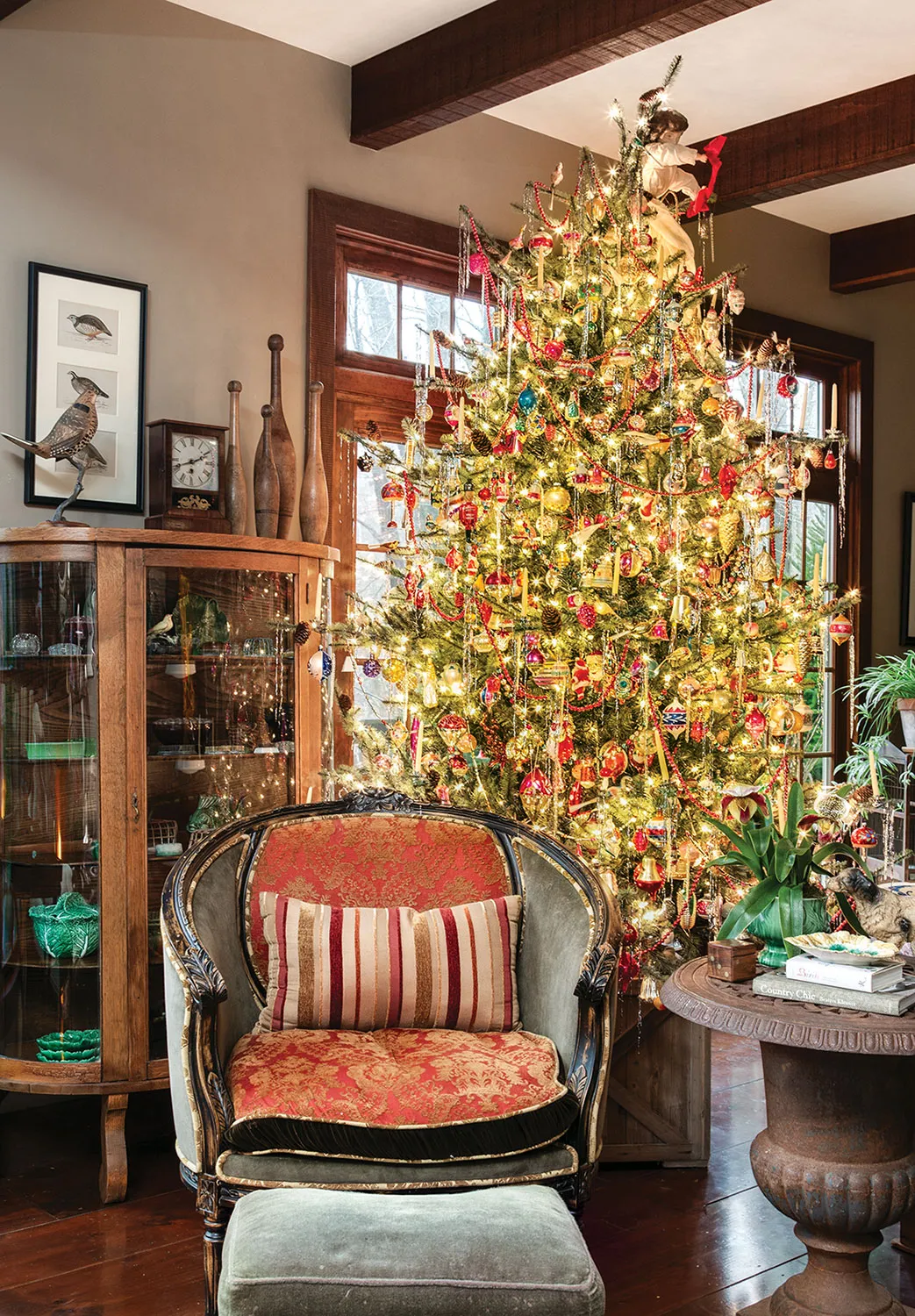 Oh! Christmas Trees! - Flower Magazine