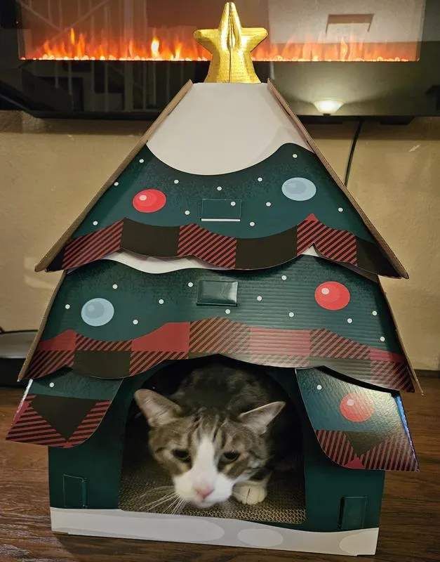 Product Reviews for FRISCO Holiday Christmas Tree Cardboard Cat House