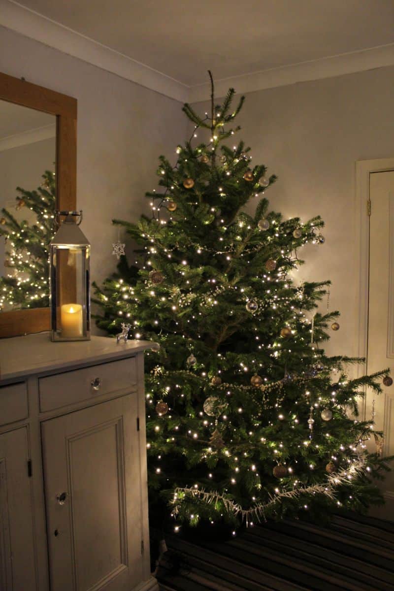 Real Christmas Tree by Post - a Pines and Needles Review ⋆ Yorkshire Wonders
