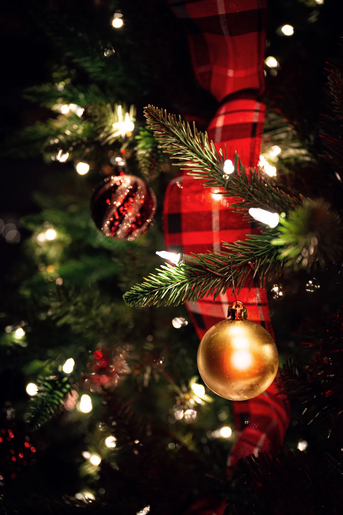 Red and golden balls hanging on Christmas tree decorated with glowing fairy lights and ribbon during holiday celebration