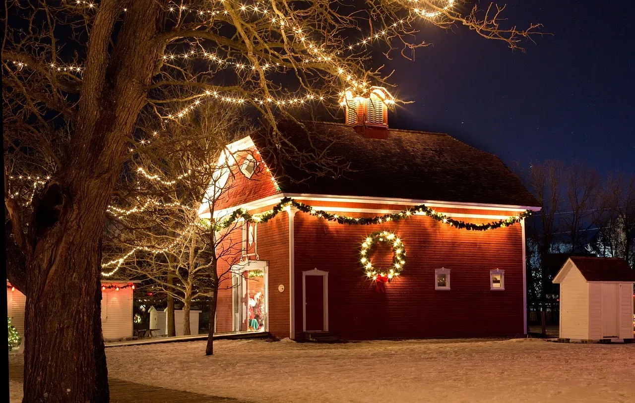 Residential Christmas Lights Madison: Ideas & Installation