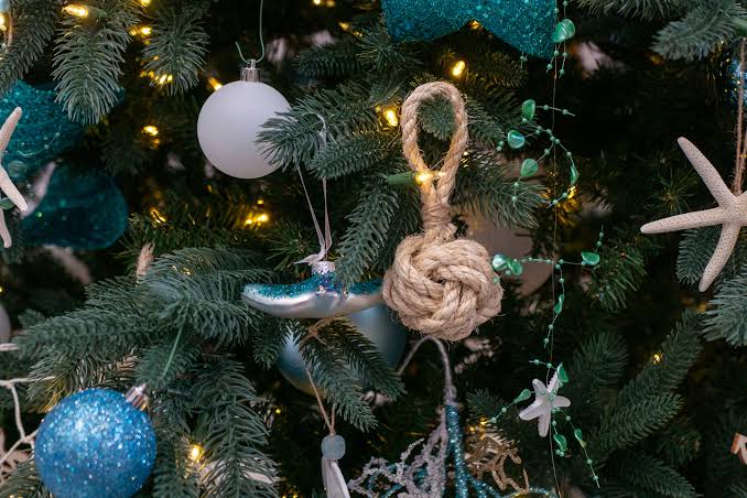 Rhode Island DEM, Trout Unlimited seeking Christmas trees to prevent  erosion • Rhode Island Current