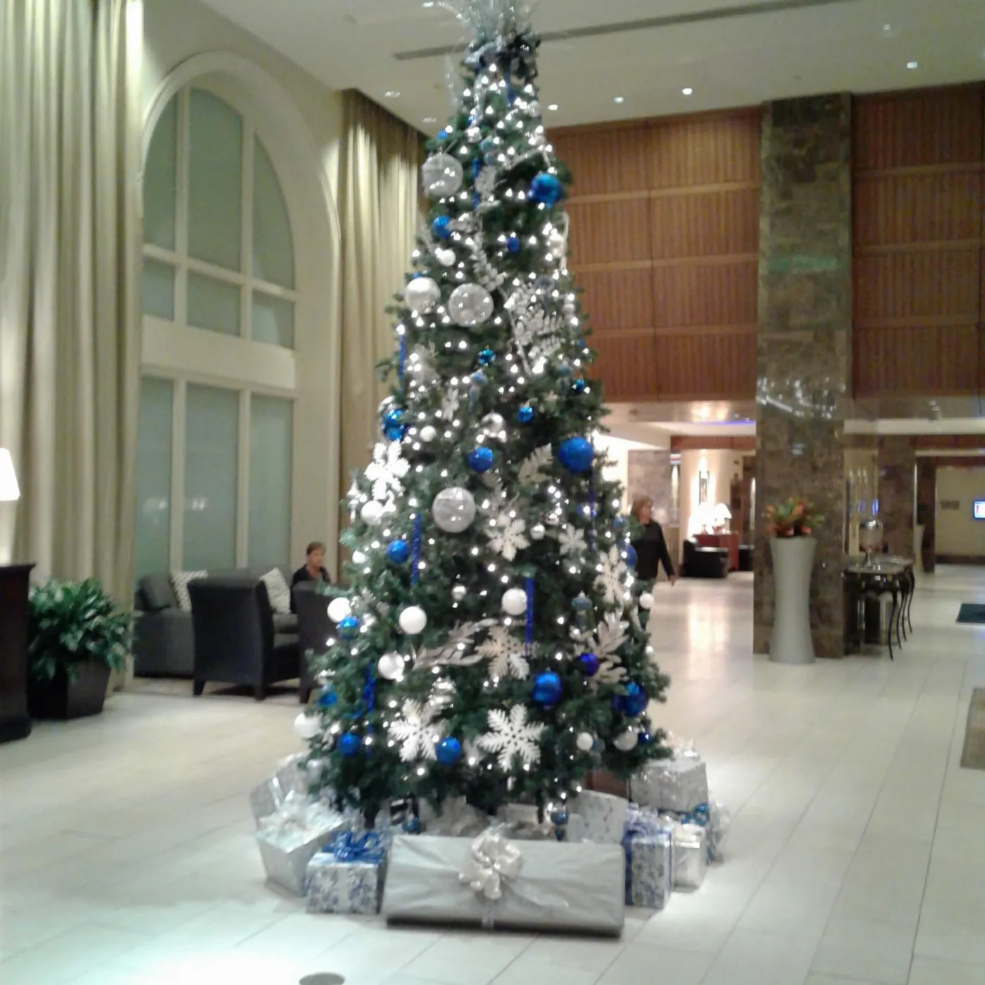 Seasonal Decorating - Business - Trans Plants