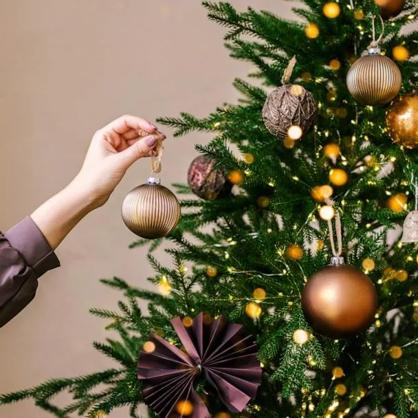 Shop unique Christmas trees ahead of the holiday season