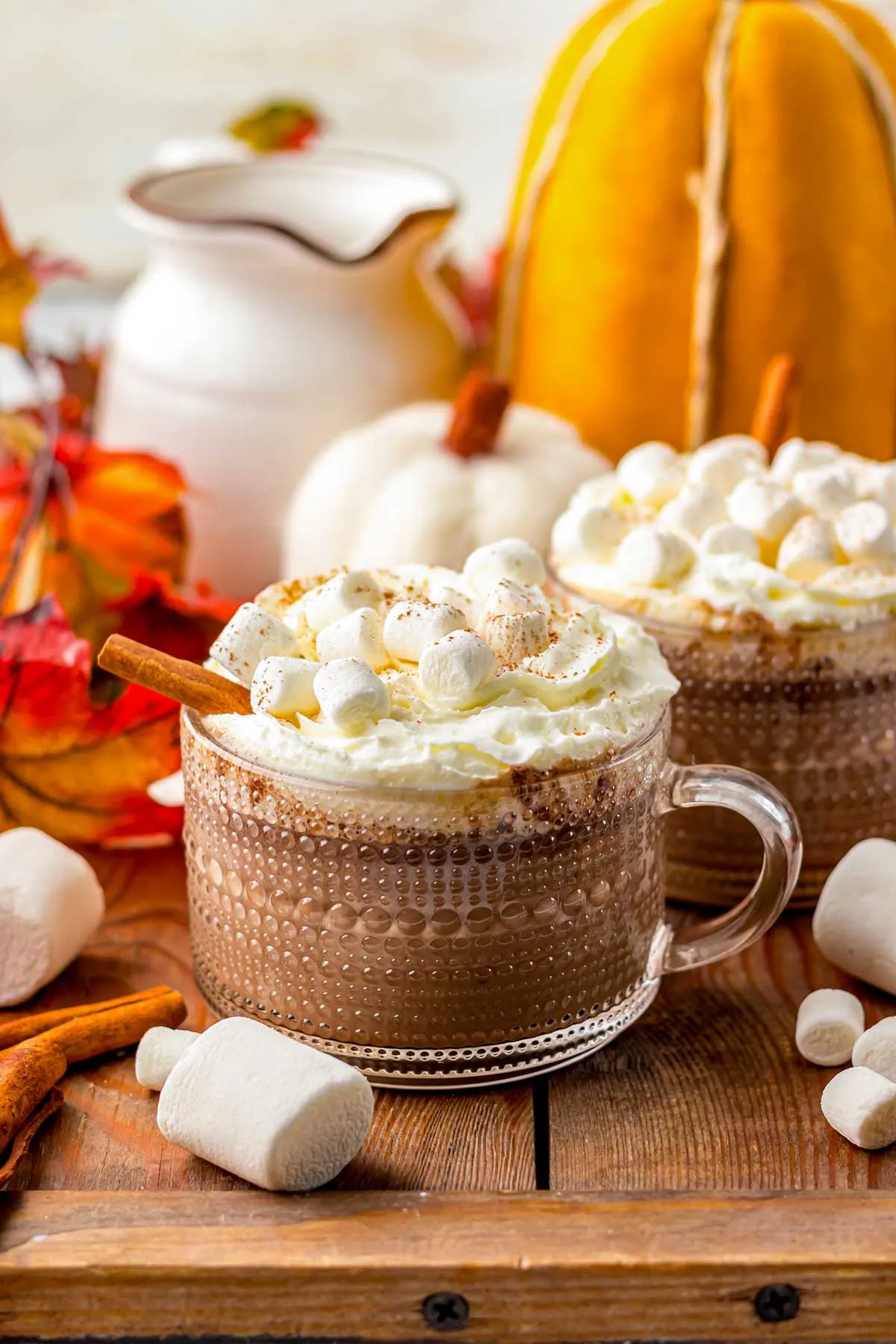 Slow Cooker Pumpkin Hot Chocolate