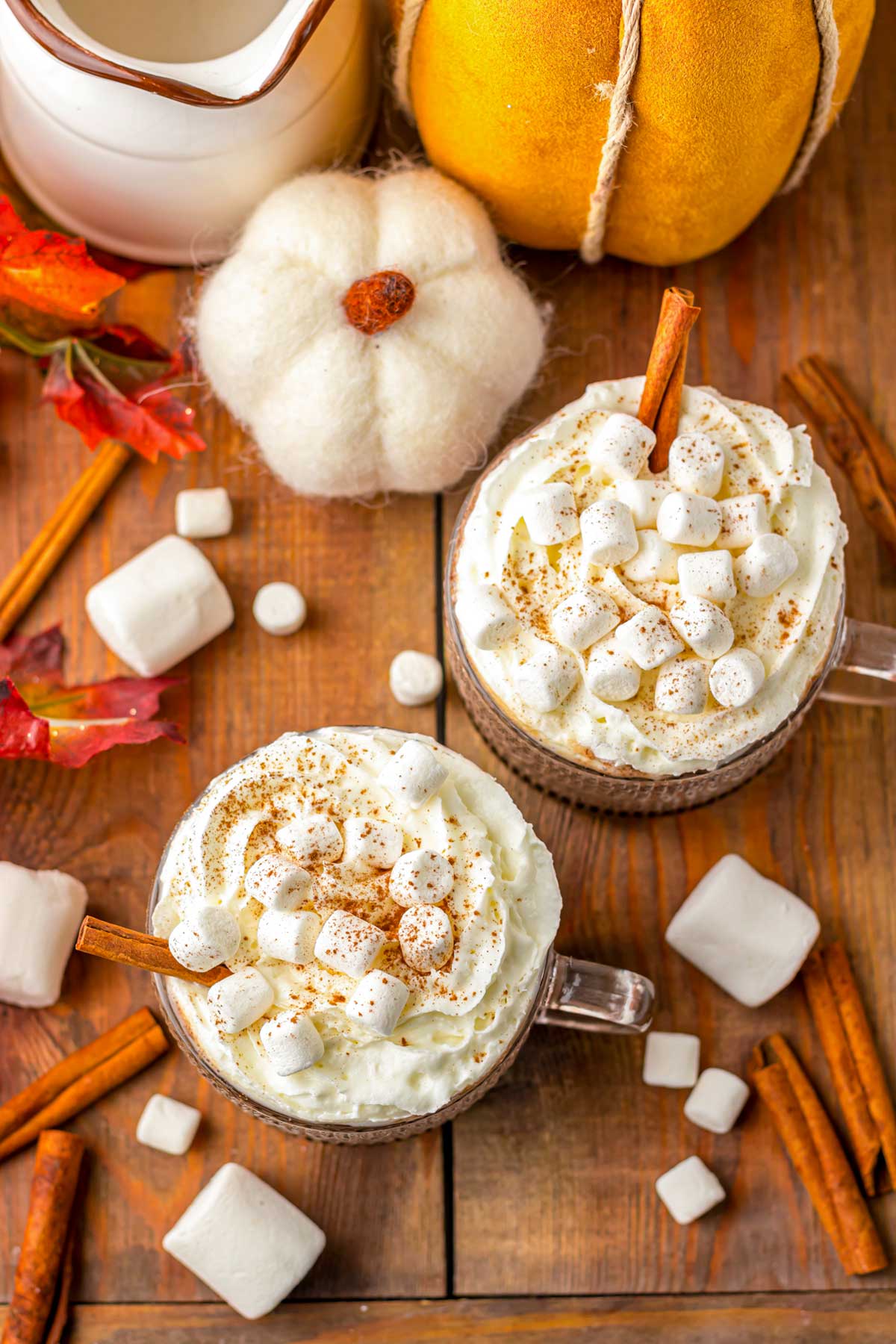 Slow Cooker Pumpkin Hot Chocolate - Homemade Hooplah