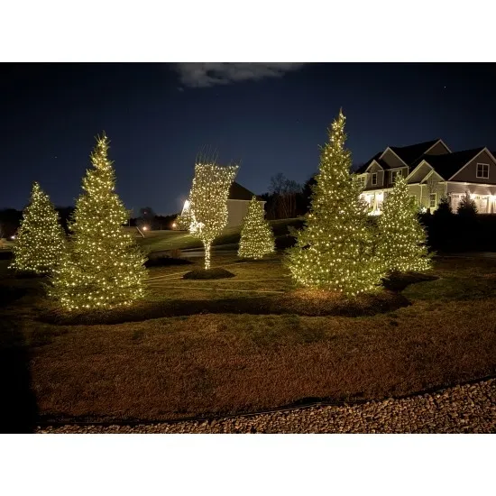 Solar Powered Outdoor Use All Christmas Lights - Designer Picks | Foter
