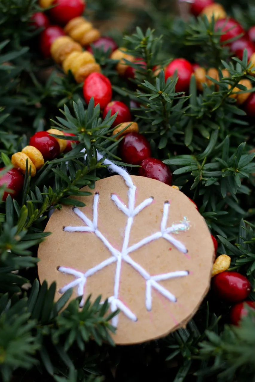 Sparkle Craft: Stitched Snowflakes and Cranberry Garlands - Sparkle Stories