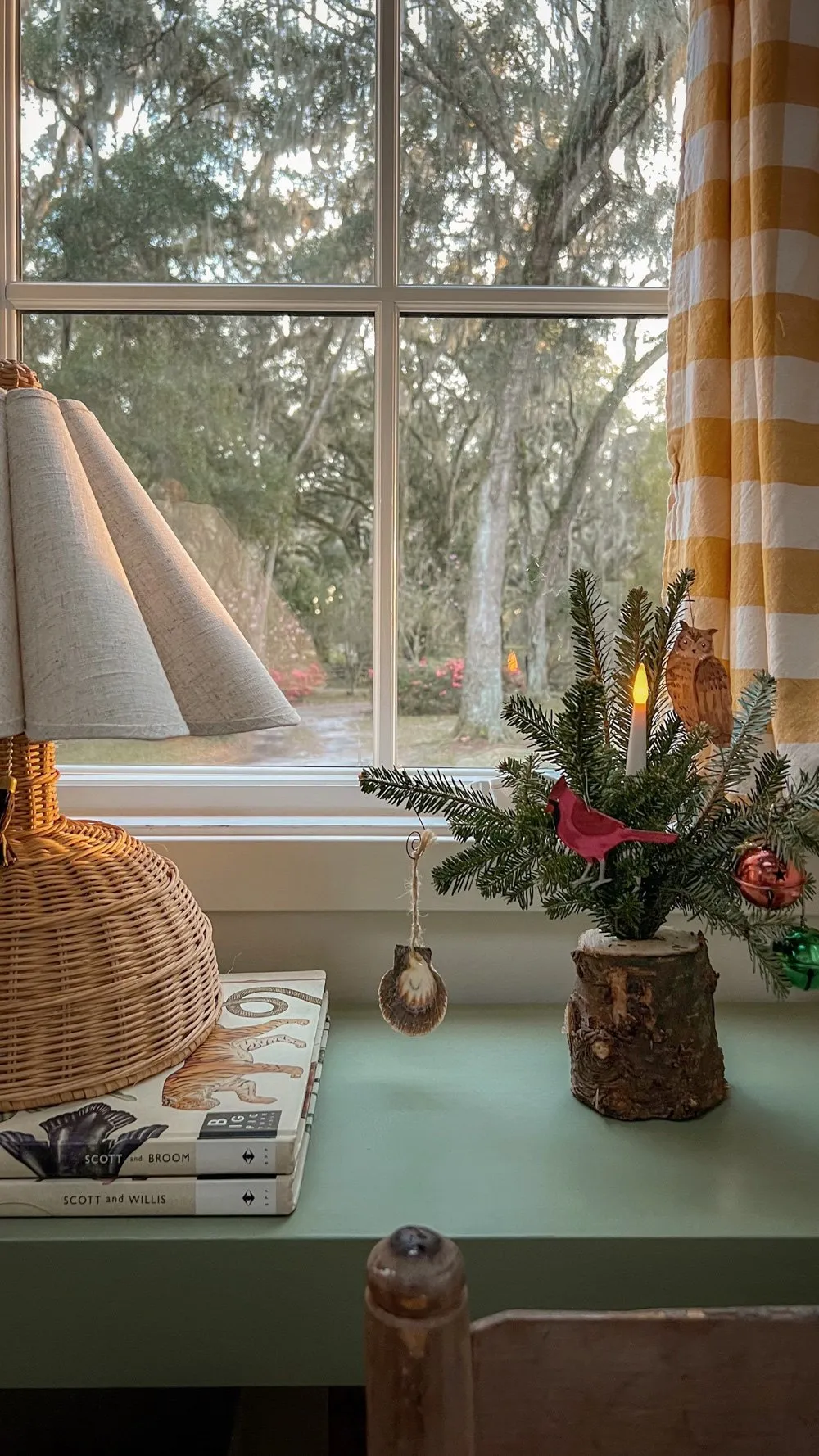 Sustainable, DIY Mini Christmas Tree — The Tiny Canal Cottage
