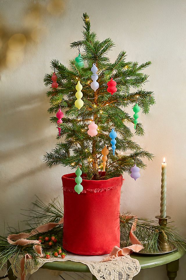 Terrain Decorated + Potted Littlest Living Tree | Anthropologie