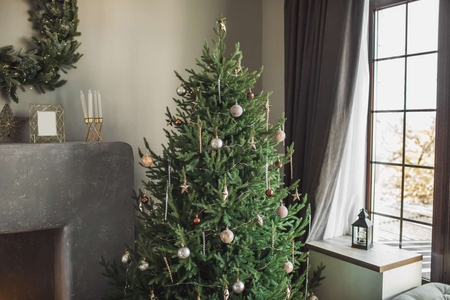 The Best Time to Buy a Real Christmas Tree, According to Tree Farmers
