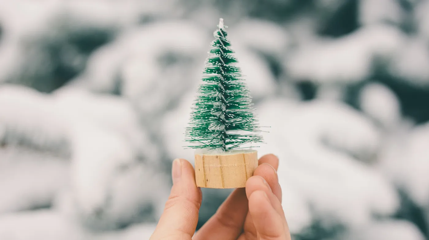 The DIY Bottlebrush Tree Centerpiece That Brings Holiday Magic Indoors
