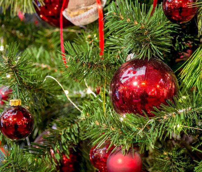 The Tree Elves: how delivery services ease festive setup | The Senior |  Senior