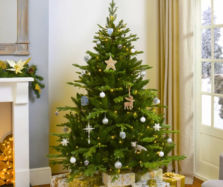The Ultimate Guide To Choosing And Caring For Nordmann Fir, Noble Fir, And Fraser Fir Christmas Trees - Patuxent Nursery