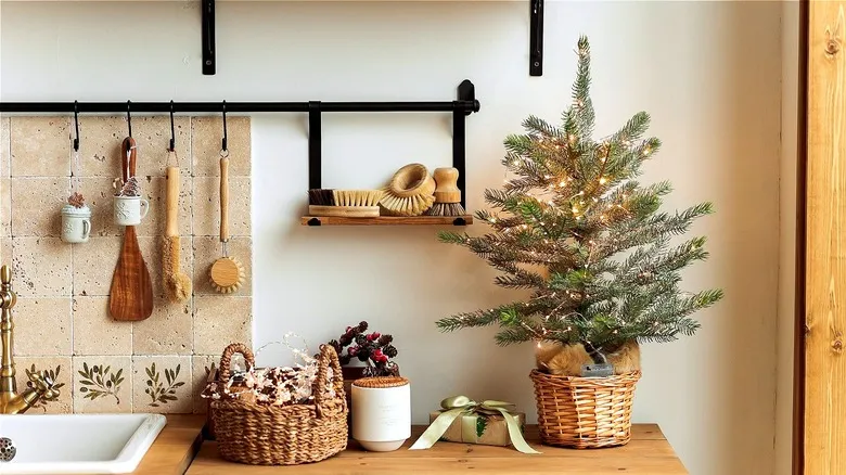 This Houseplant Is The Perfect Christmas Tree Alternative For Your Small  Space
