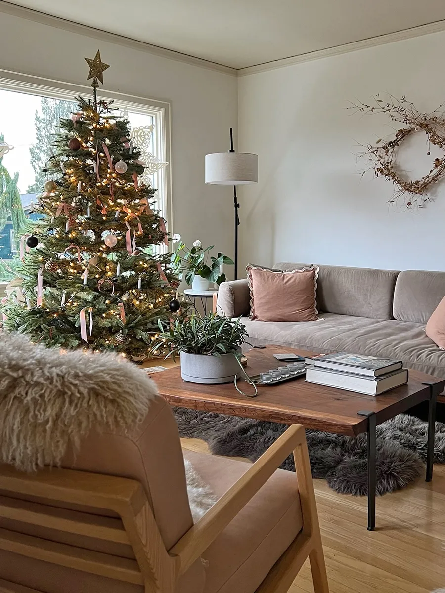 Tips for Decorating With a Living Christmas Tree - 7 Dees