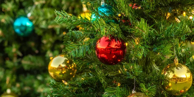 Top Reasons to Trade Holiday Travel for a Stress-Free Staycation - Treeside  RV Resort