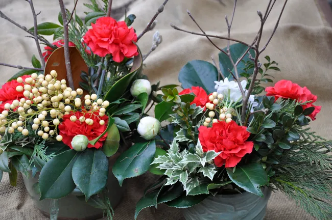 Vintage Christmas Flowers - Growing With Plants