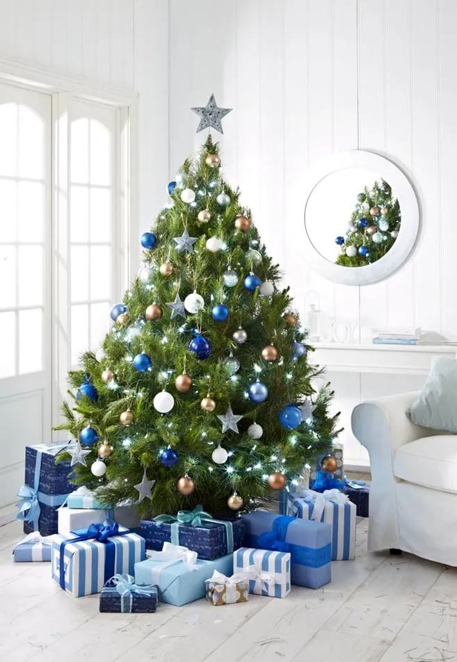 Walk-in: 5ft Real Cut Monterey Pine Christmas Tree (~150cm) – Merlino's  Christmas Trees