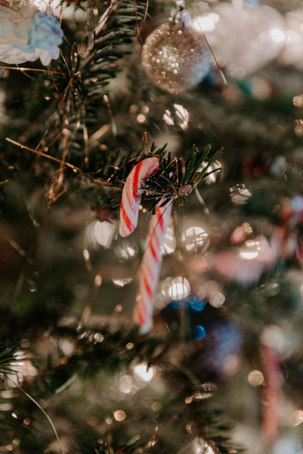 White and red candy cane Christmas decor - Free Photo on Unsplash
