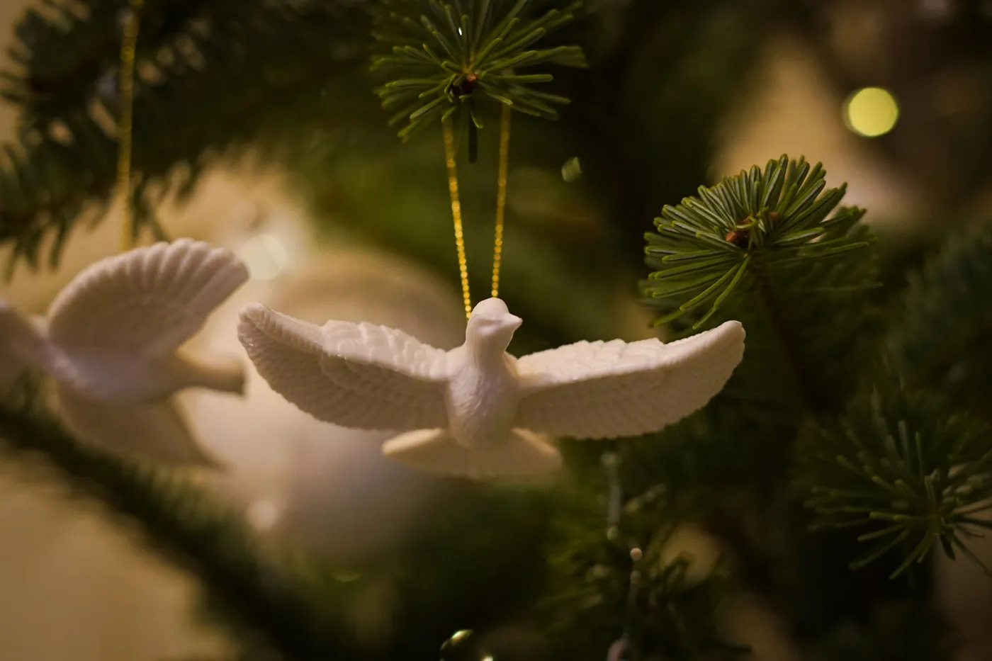 White dove ornament on Christmas tree branch, symbolizing peace and holiday spirit.