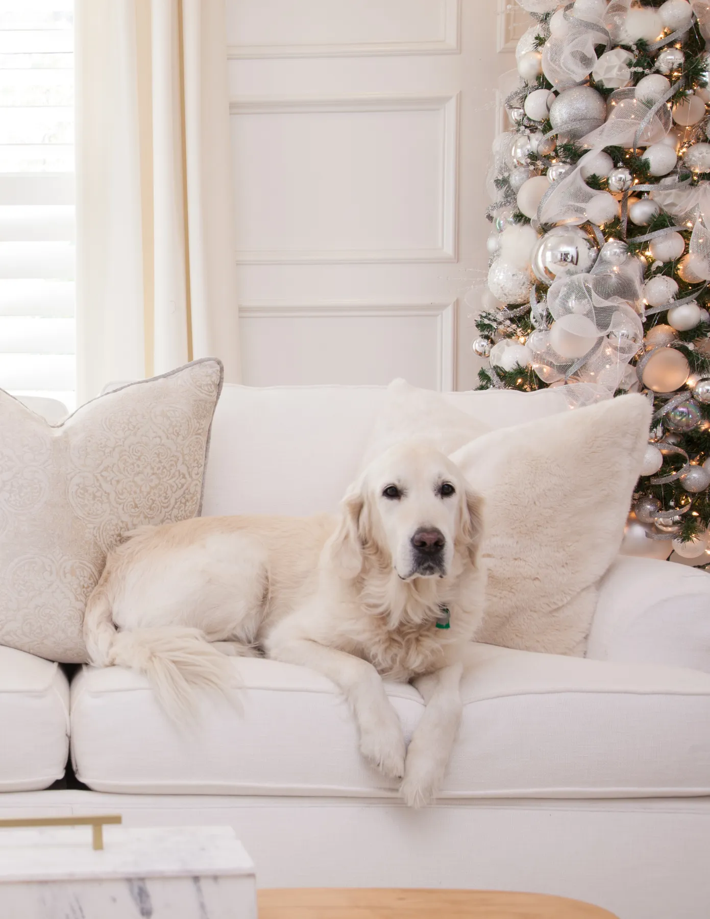 WHITELINE DESIGN | DECLUTTERING TIPS – Whiteline Designs