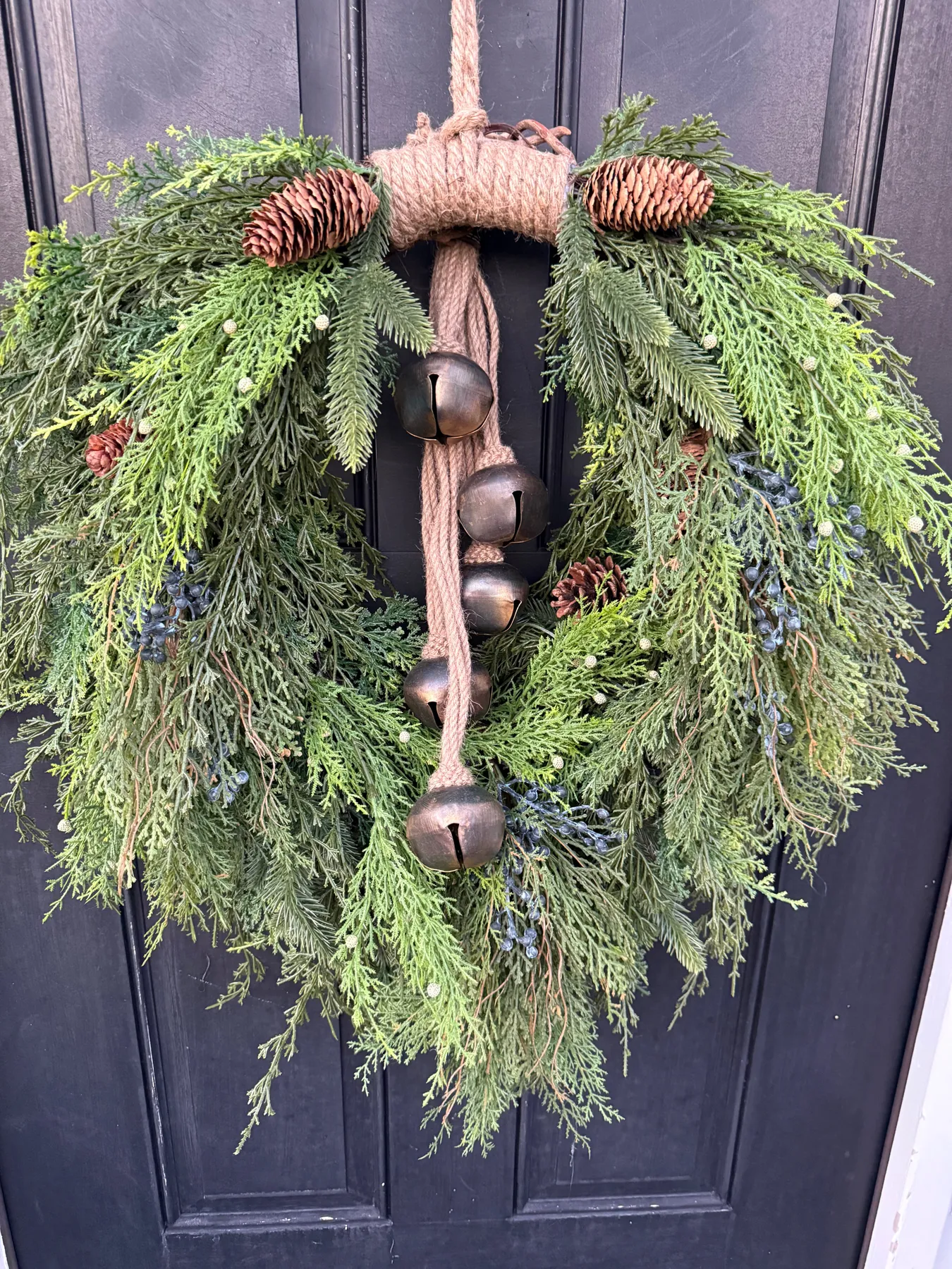Winter Collection – Enchanted Vines