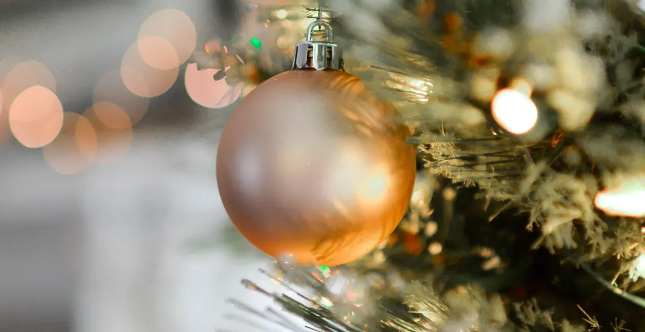 Winter Wonderland Weekend | Salt Hotels