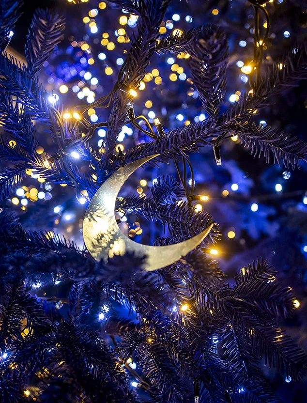 Xerjoff x Natale degli Alberi: wish upon a Shooting Star | Xerjoff